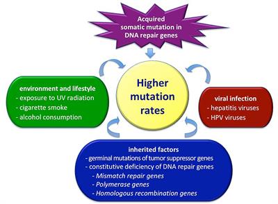 Are Molecular Alterations Linked to Genetic Instability Worth to Be Included as Biomarkers for Directing or Excluding Melanoma Patients to Immunotherapy?